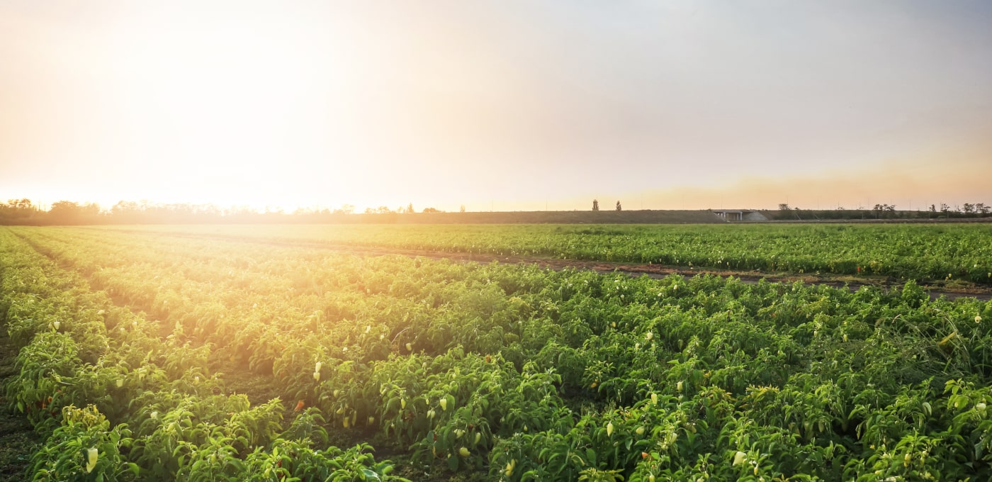 リーンキャンバス事例紹介｜FBN（ファーマーズ・ビジネス・ネットワーク）に学ぶ起業アイデアの整理法