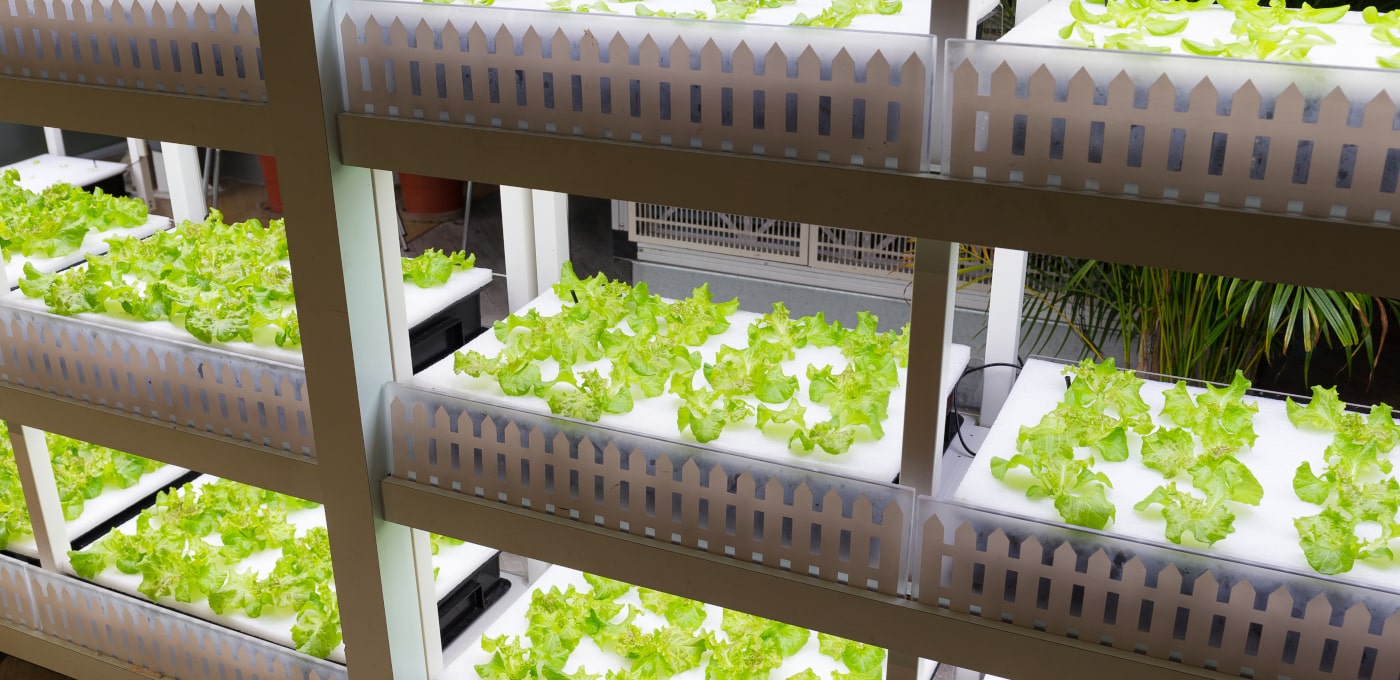 【事例解説】リーンキャンバスで学ぶ起業アイデア発想法｜City Farming with Okamura