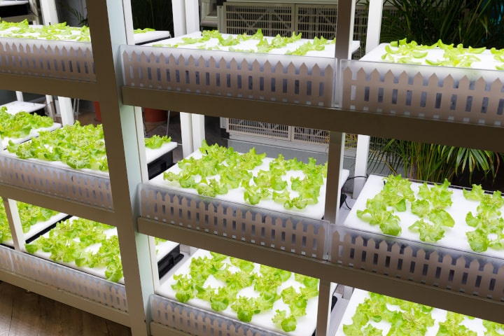 【事例解説】リーンキャンバスで学ぶ起業アイデア発想法｜City Farming with Okamura